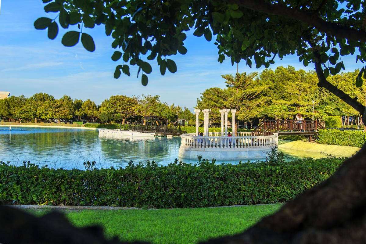 blog