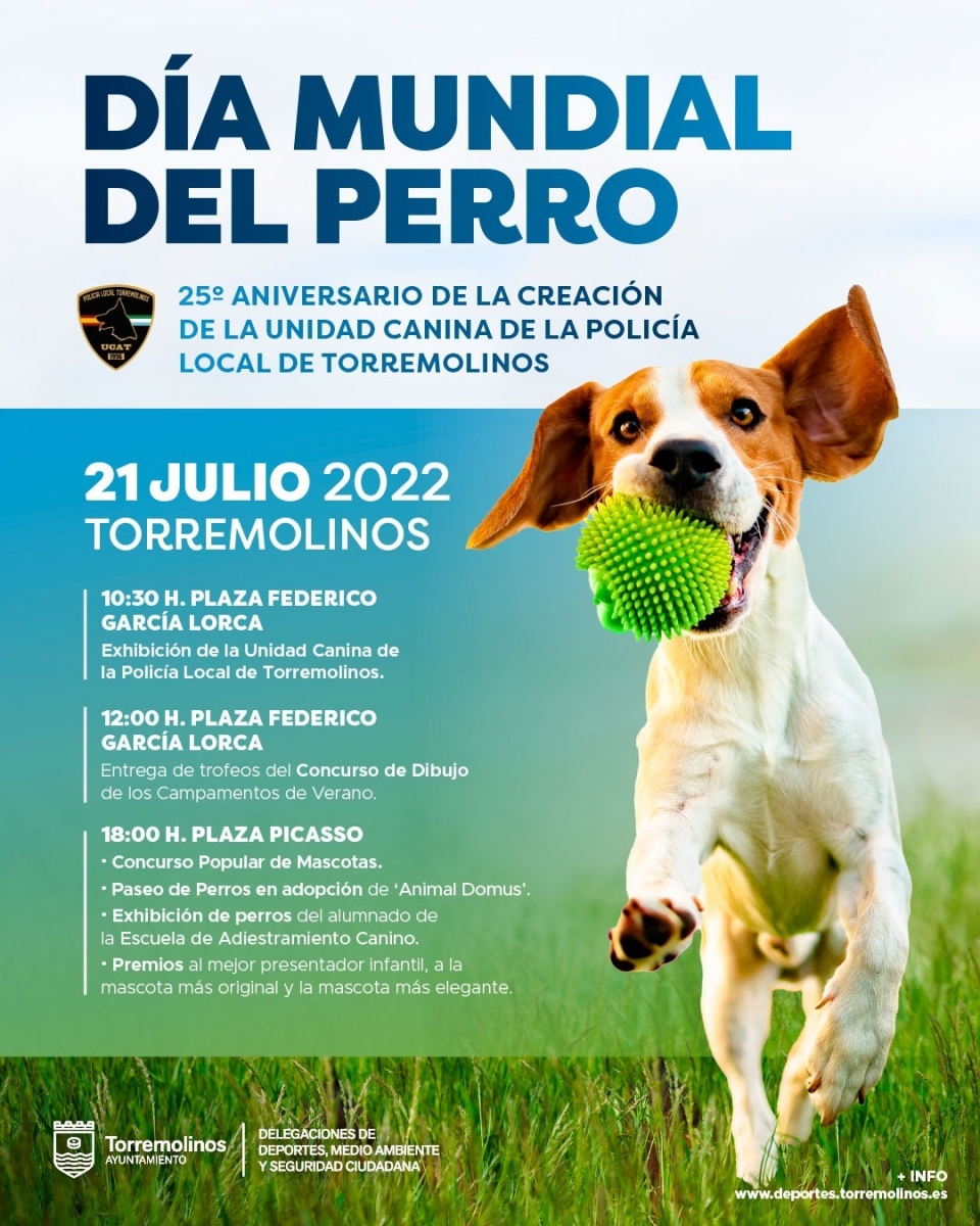 20220718123839_news_340_dia-mundial-del-perro.jpeg