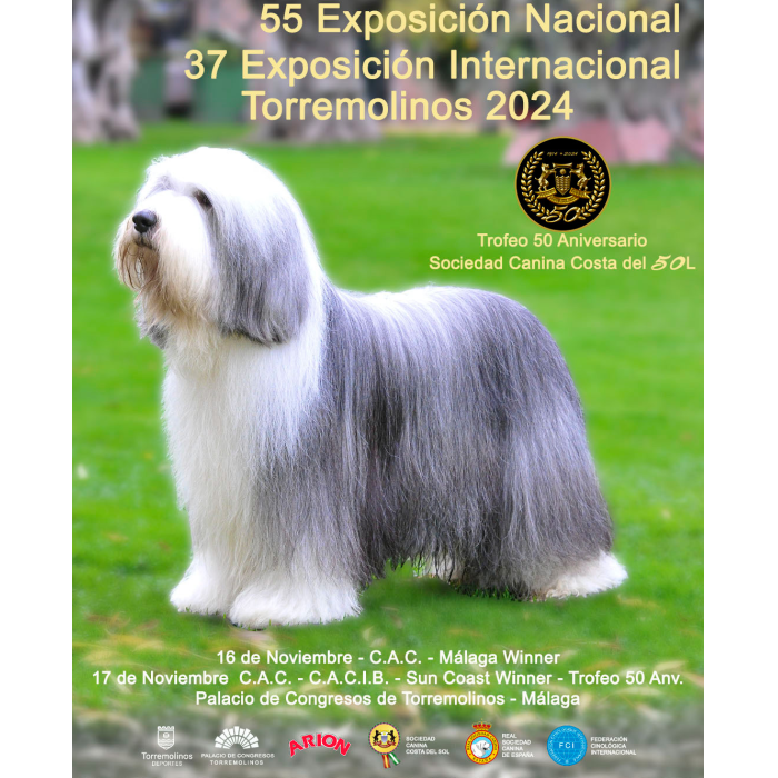 Más de 2.000 perros de 153 razas participan en Torremolinos en Expocan